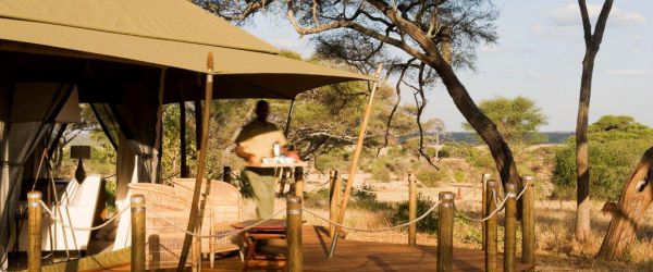 Sanctuary Swala, Tarangire Elefanten und Baobabs